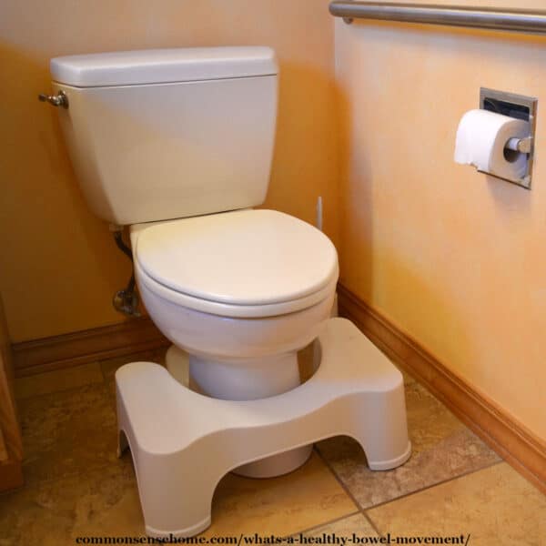 toilet with squatty potty