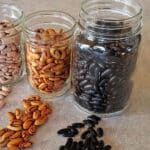 How to save bean seeds