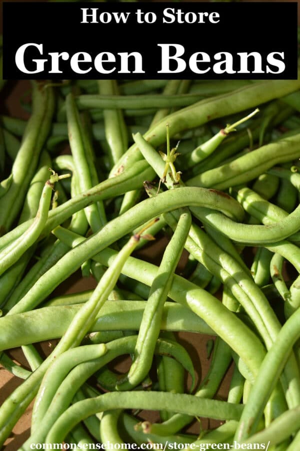 How to Store Green Beans (for Short Term or Long Term)
