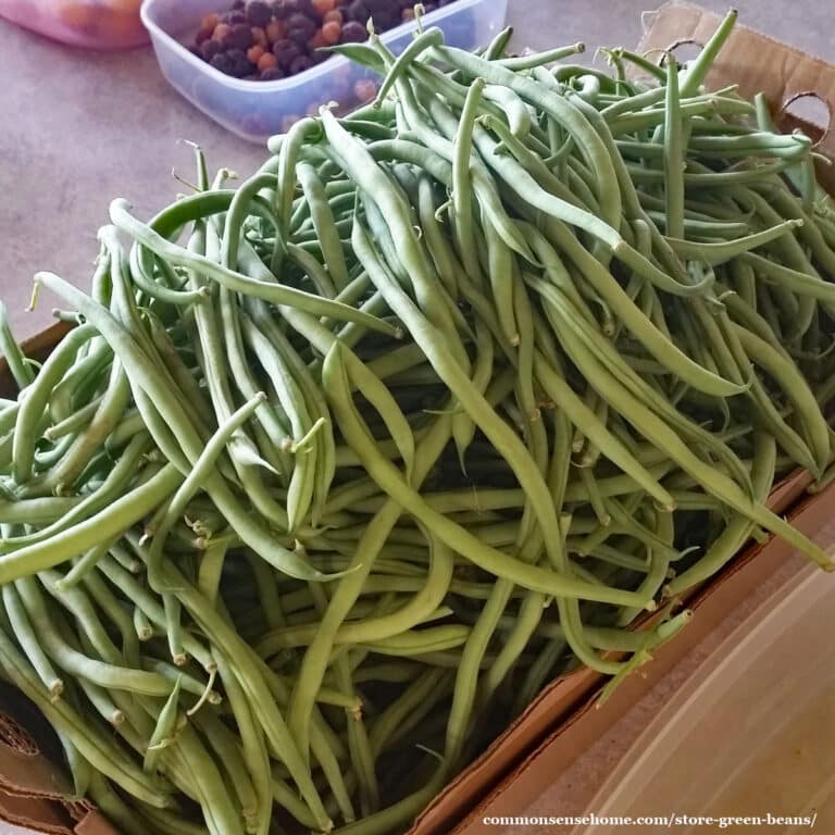 How to Store Green Beans (for Short Term or Long Term)