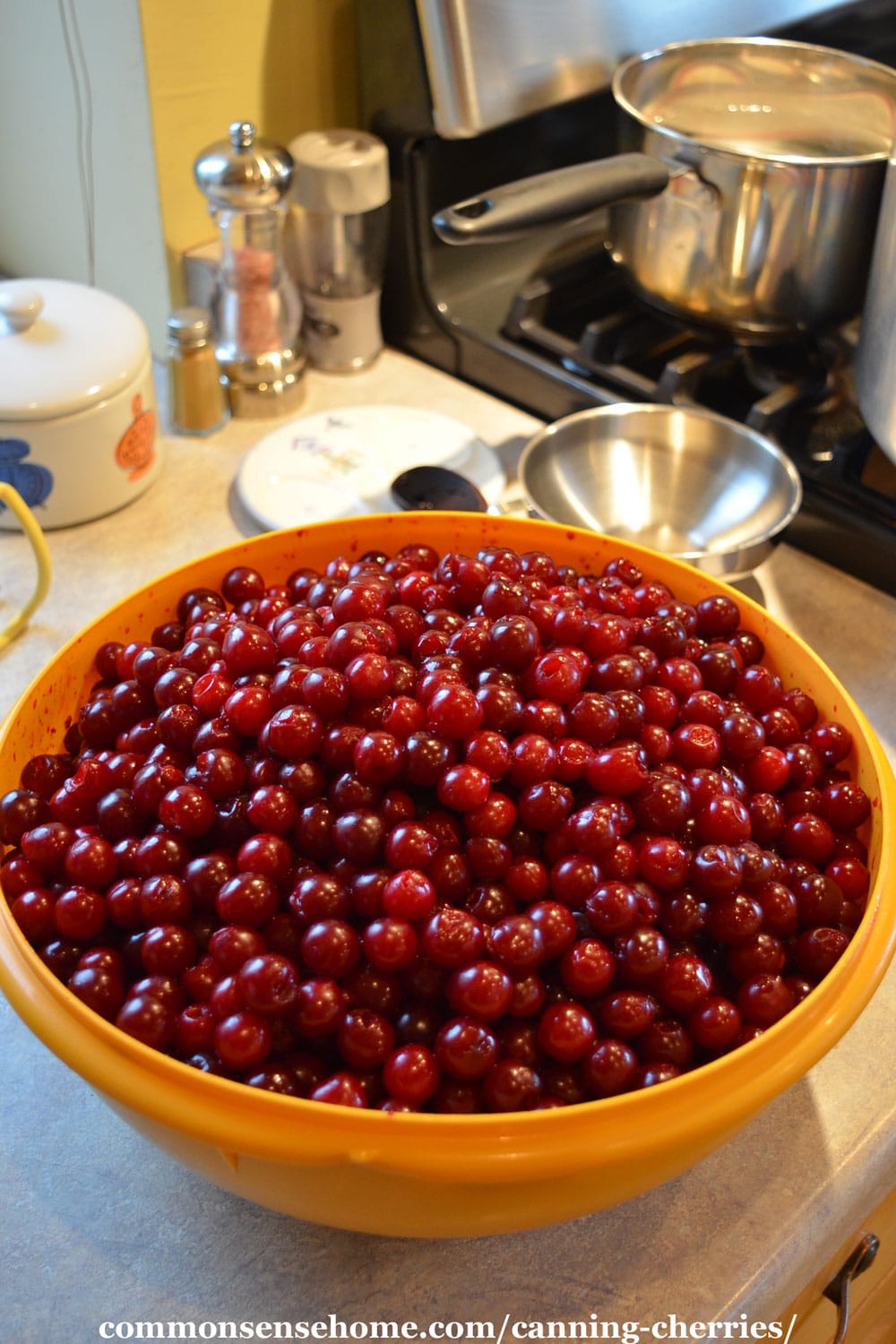 bowl of tart cherries