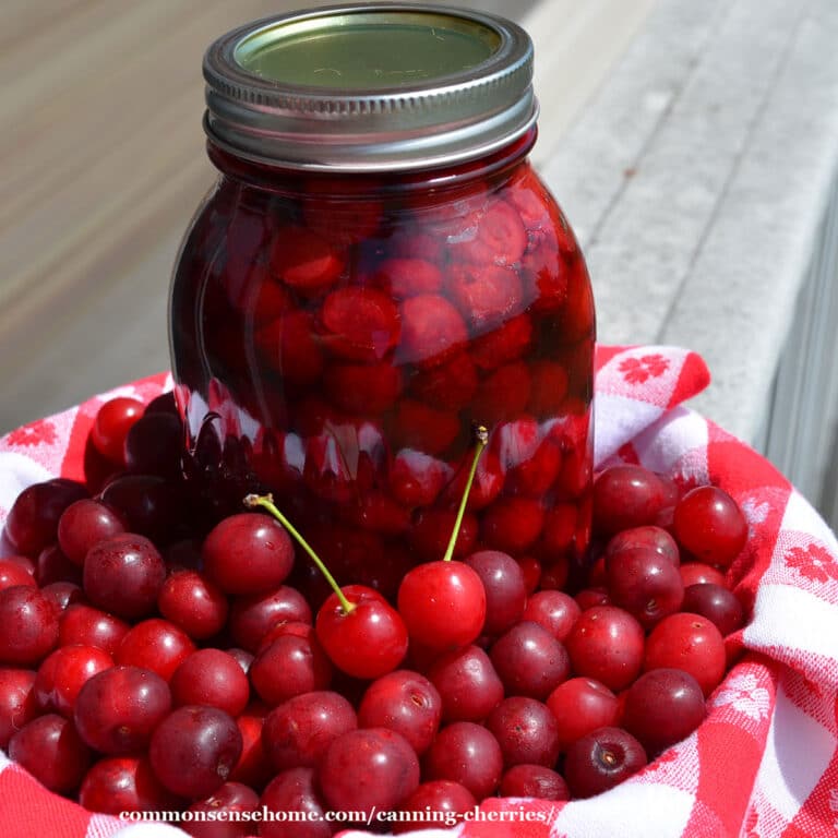 Canning Cherries in a Water Bath Canner or Steam Canner