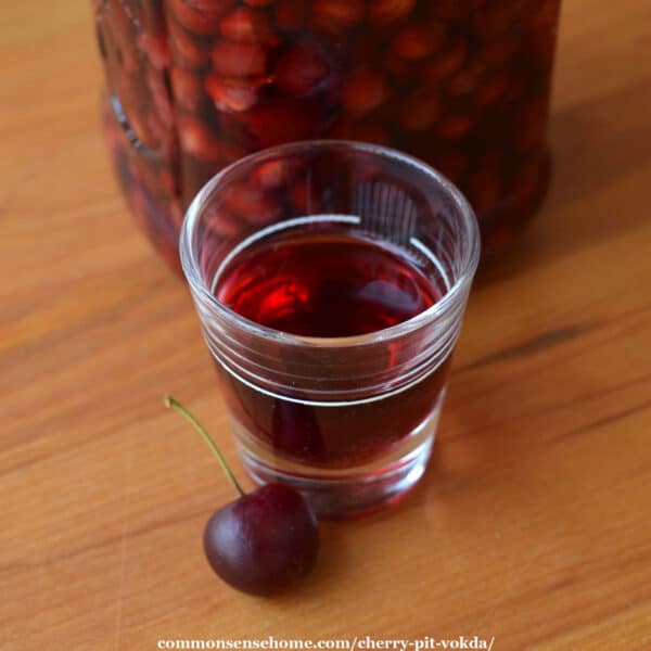 cherry pit vodka