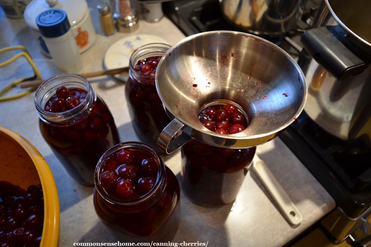 filling canning jars with cherries