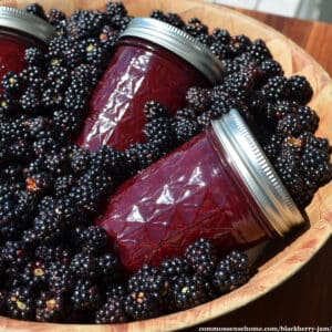 Blackberry Jam Recipe (Low Sugar)