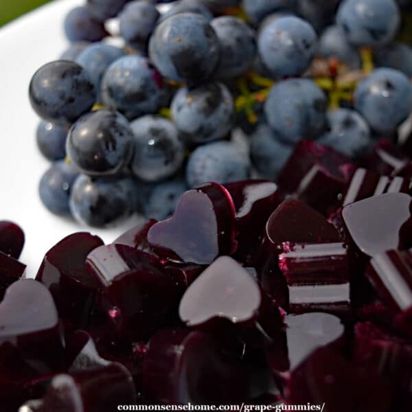 mini grape gummy hearts