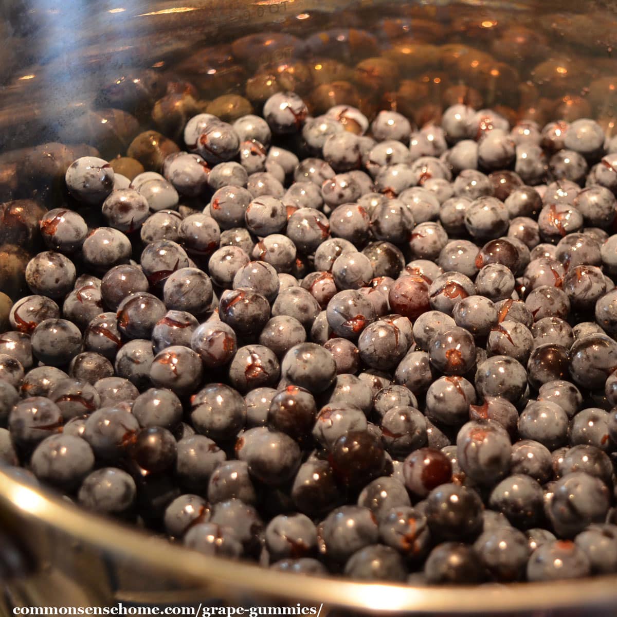 grapes in stock pot