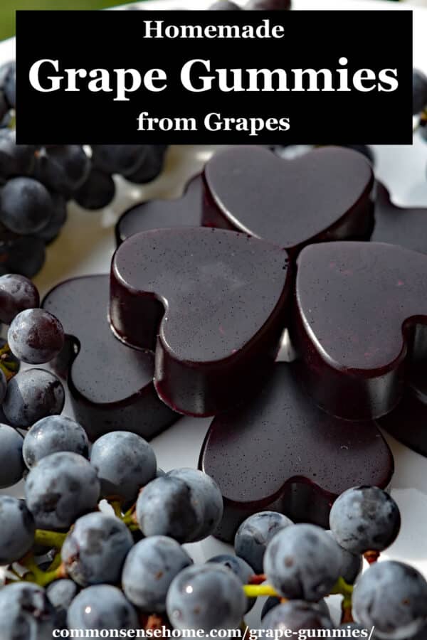 homemade grape gummies from grapes