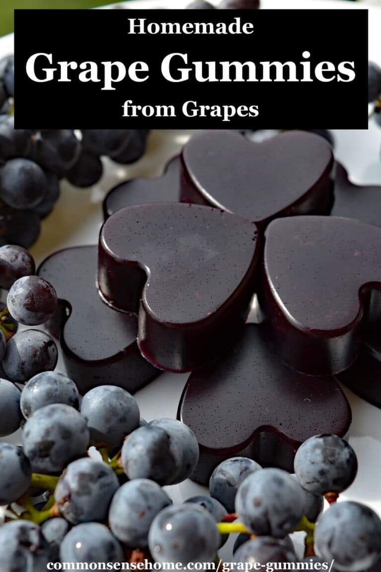Grape Gummies Made with Juice (Easy Recipe)