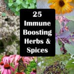 25 immune boosting herbs and spices