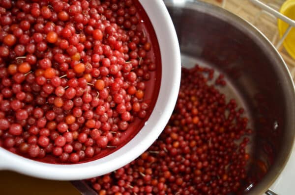 bowls filled with autumn olive fruit