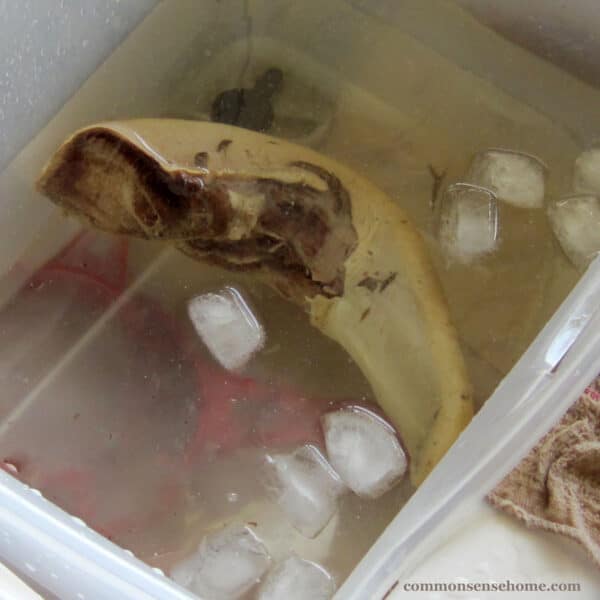 beef tongue in ice bath