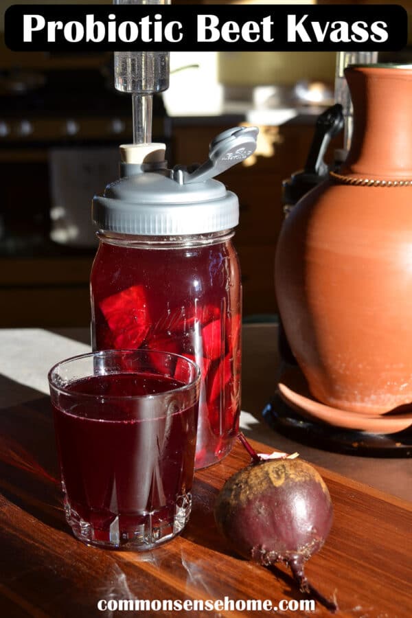 probiotic beet kvass