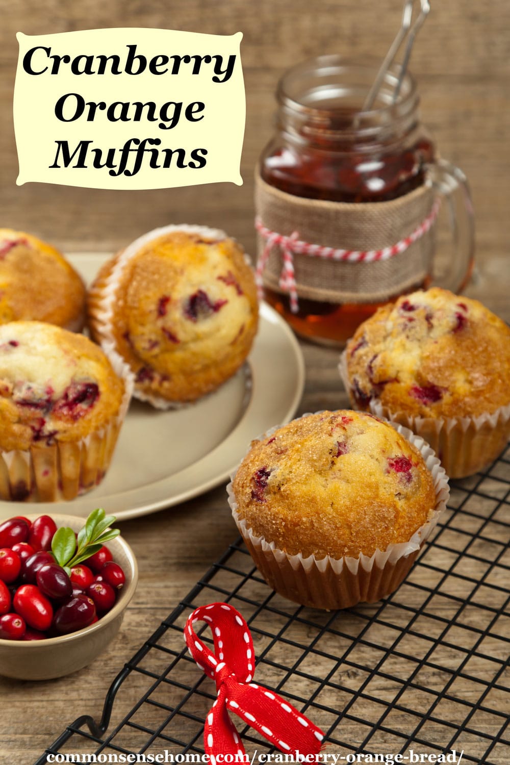 cranberry orange muffins