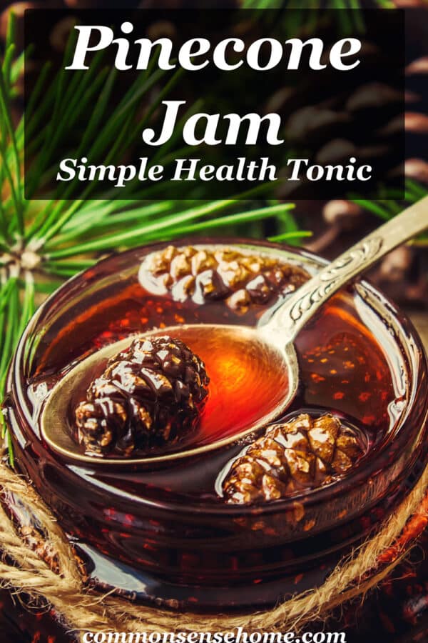 pinecone jam/syrup in bowl with spoon
