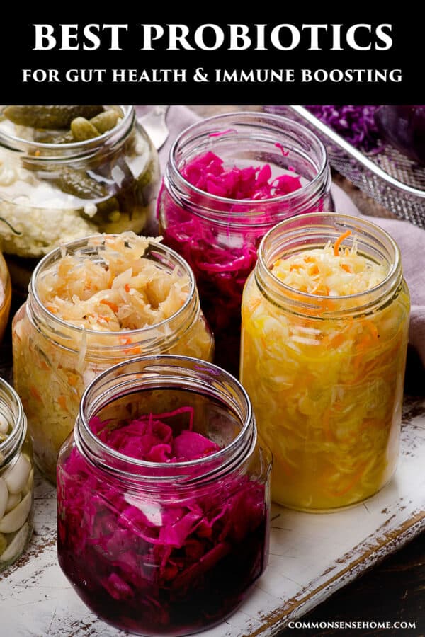 best probiotics for gut health and immune boosting