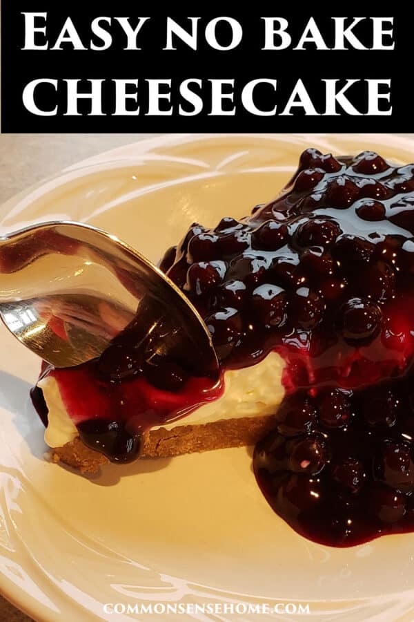 easy no bake cheesecake with blueberries