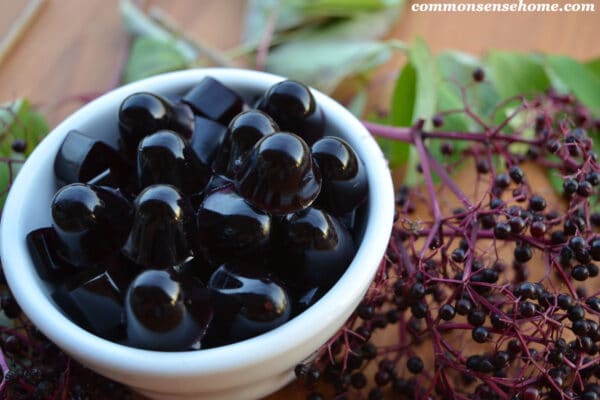 homemade elderberry gummies