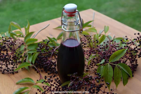 homemade elderberry syrup in swing top bottle