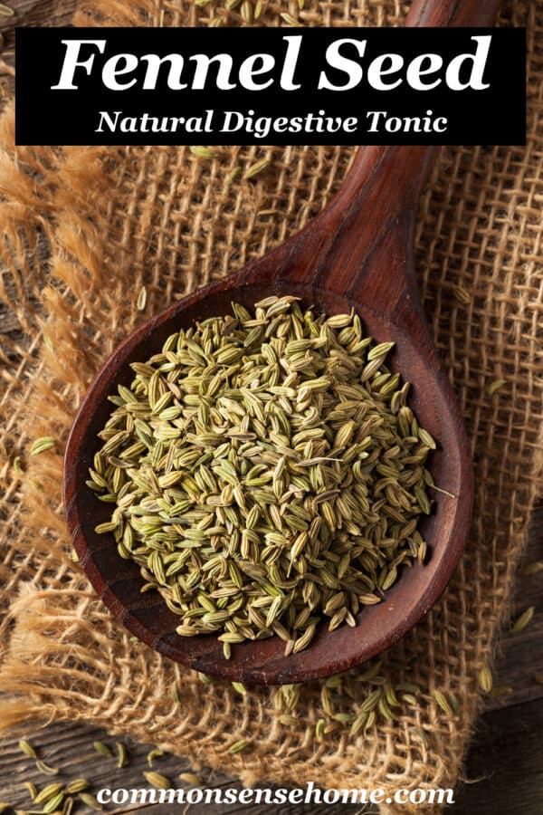 fennel seed, natural digestive tonic