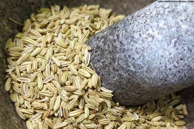 fennel seeds with pestle