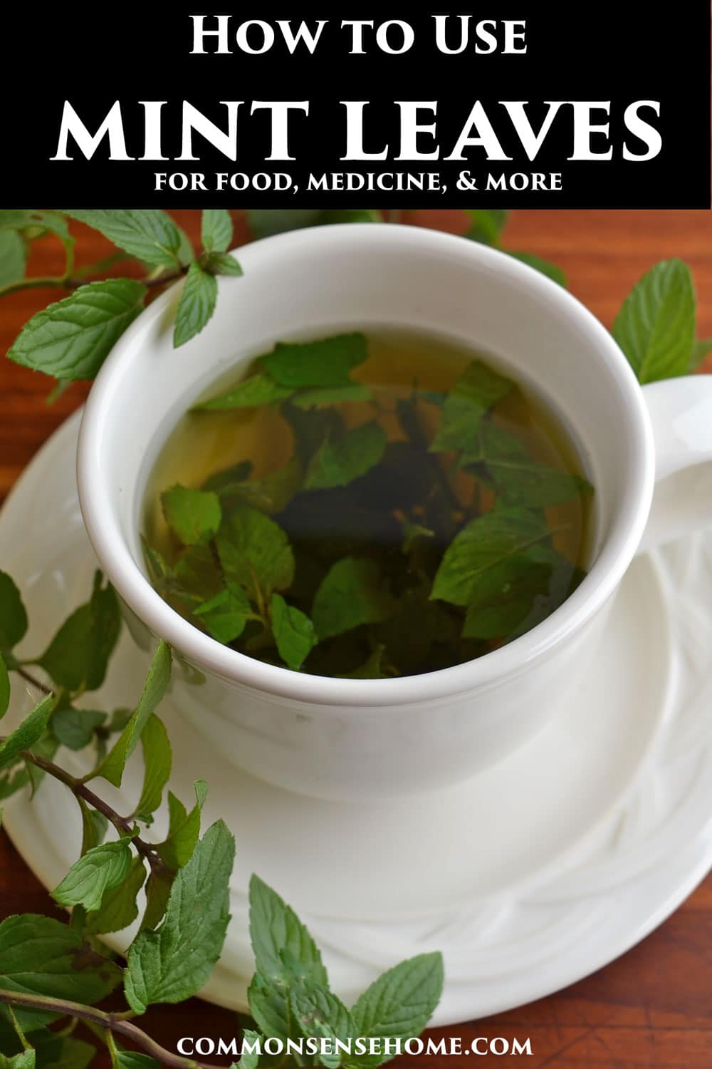 how to use mint leaves for food, medicine, & more