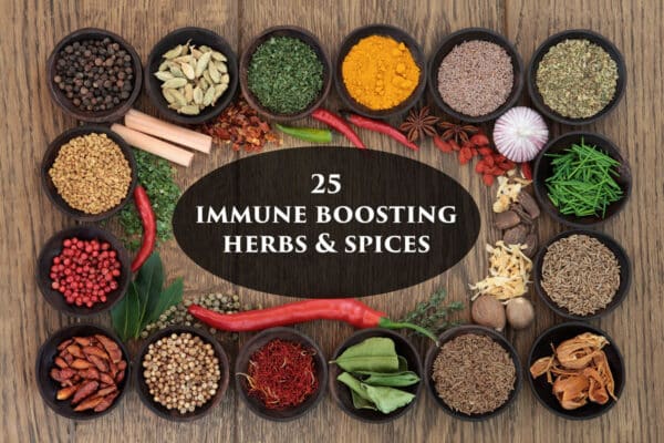 immune boosting herbs and spices