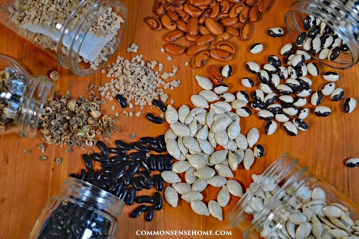 What are Heirloom Seeds? (And Why it Matters)