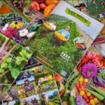 assortment of catalogues from Heirloom Seed Companies