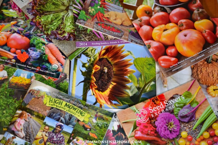 Best Heirloom Seeds – Recommended by Home Gardeners