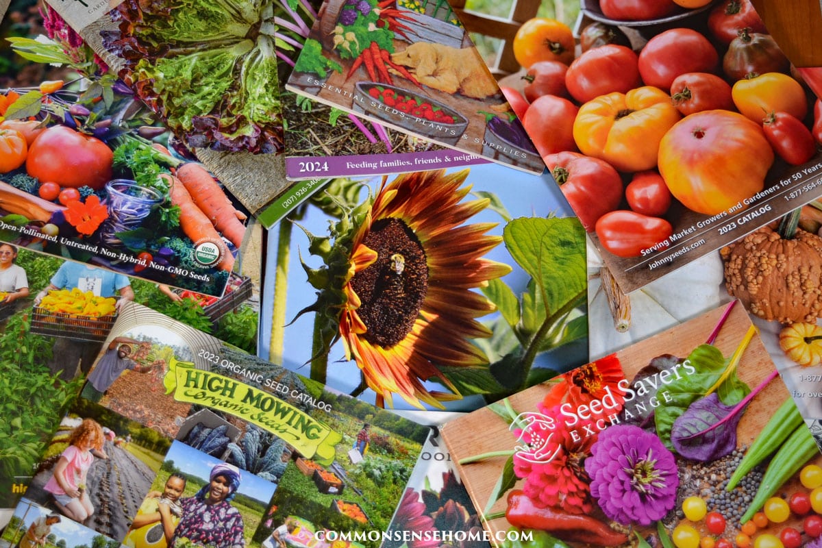 Heirloom Seeds & Seed Kits for Self-Sufficient Living