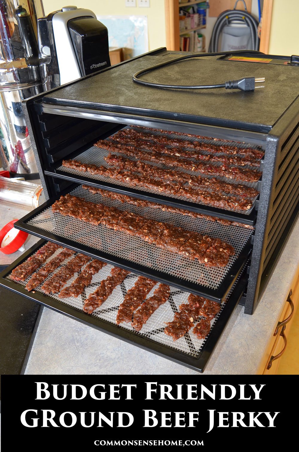 Homemade Ground Beef Jerky Recipe (For Dehydrator or Oven)