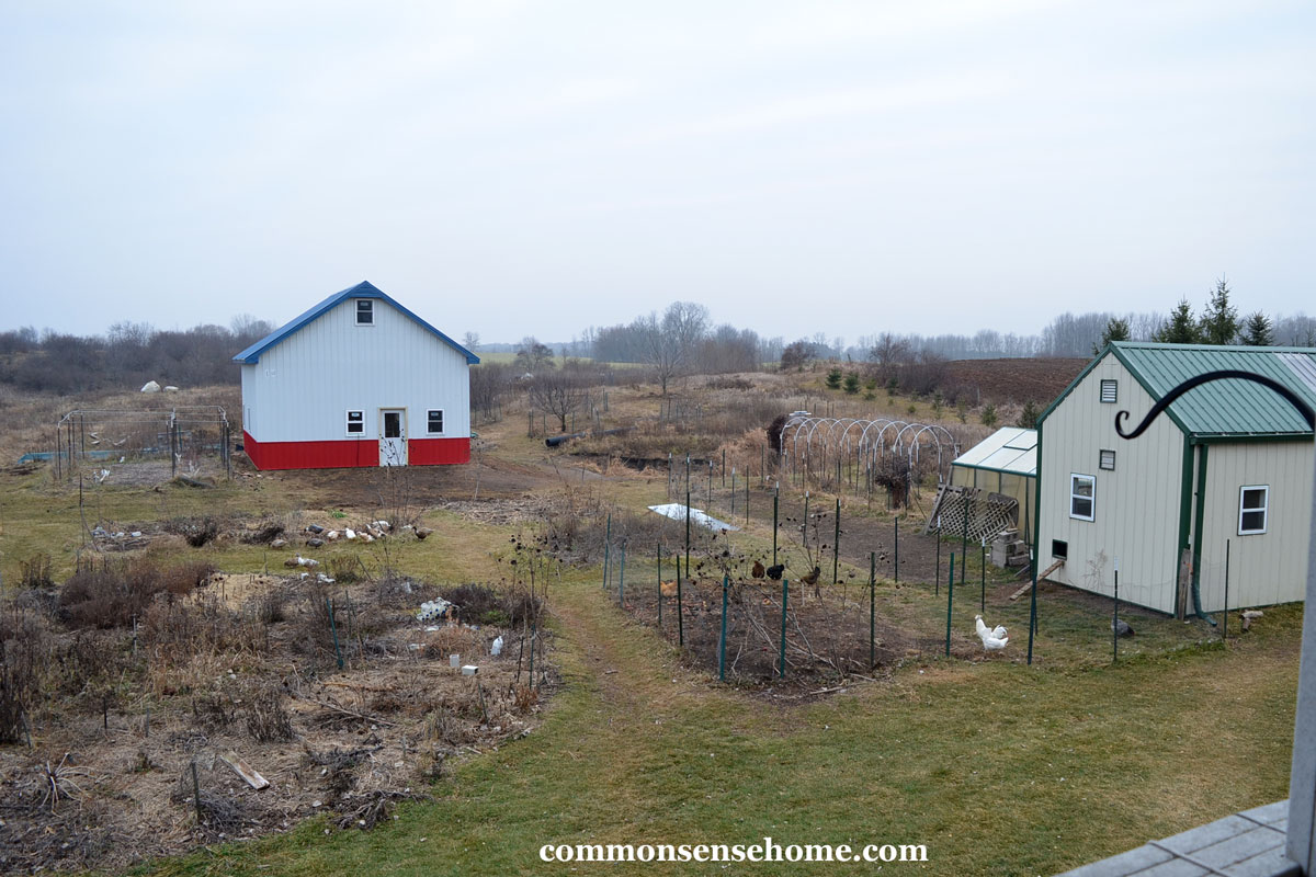 winter gardens, workshop, coop and chicken run