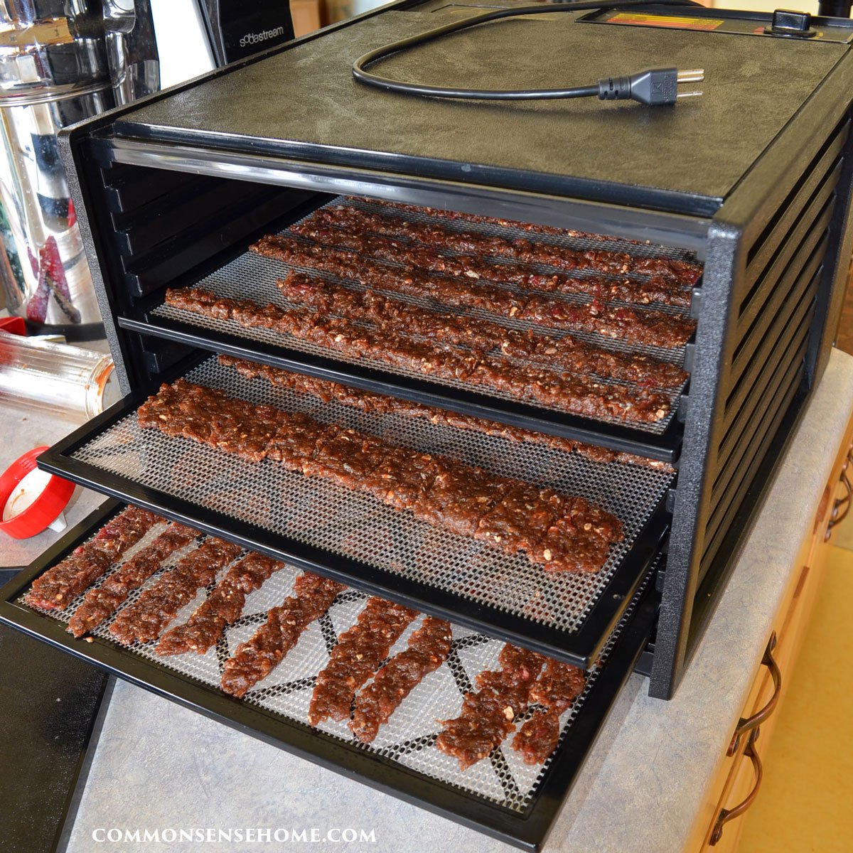 Excalibur dehydrator with jerky