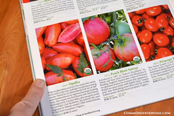 favorite heirloom tomato variety