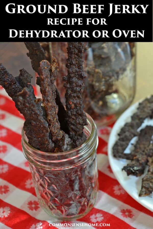 ground beef jerky recipe for dehydrator or oven