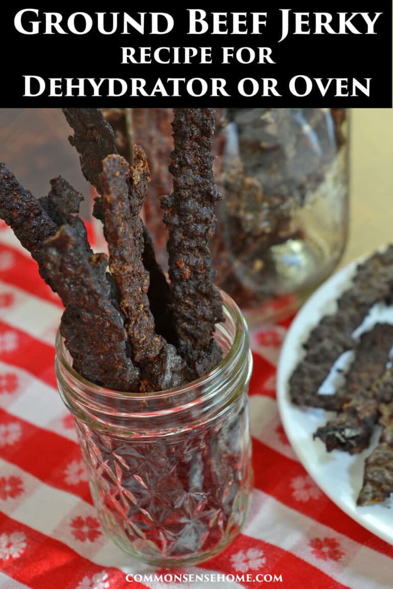 Homemade Ground Beef Jerky Recipe (For Dehydrator or Oven)