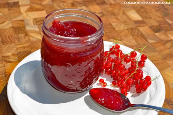 mason jar of homemade currant jelly with currants