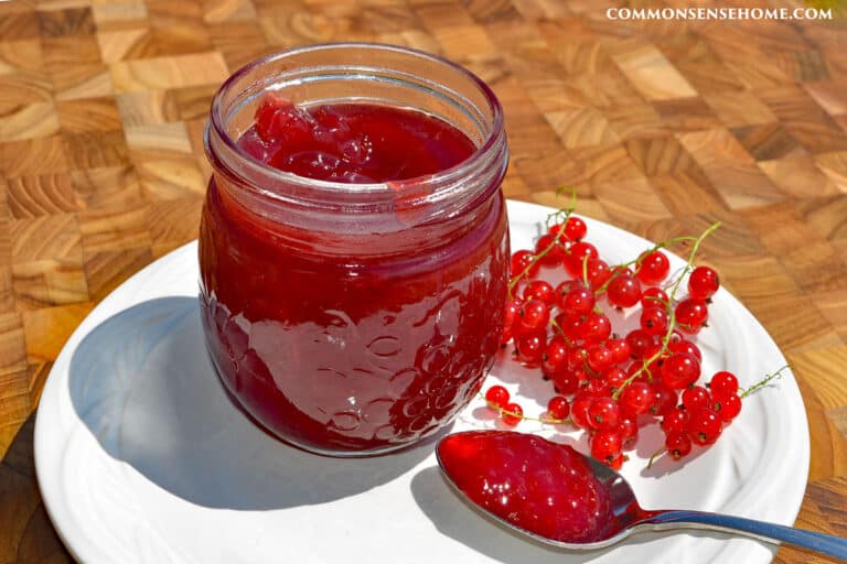 Red Currant Jelly Recipe (2 Ingredients, No Added Pectin)