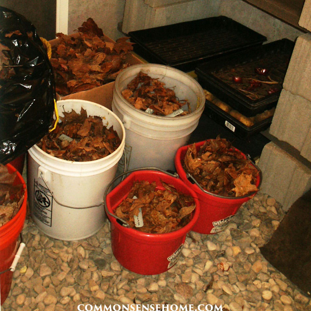 root cellar storage buckets and gravel floor