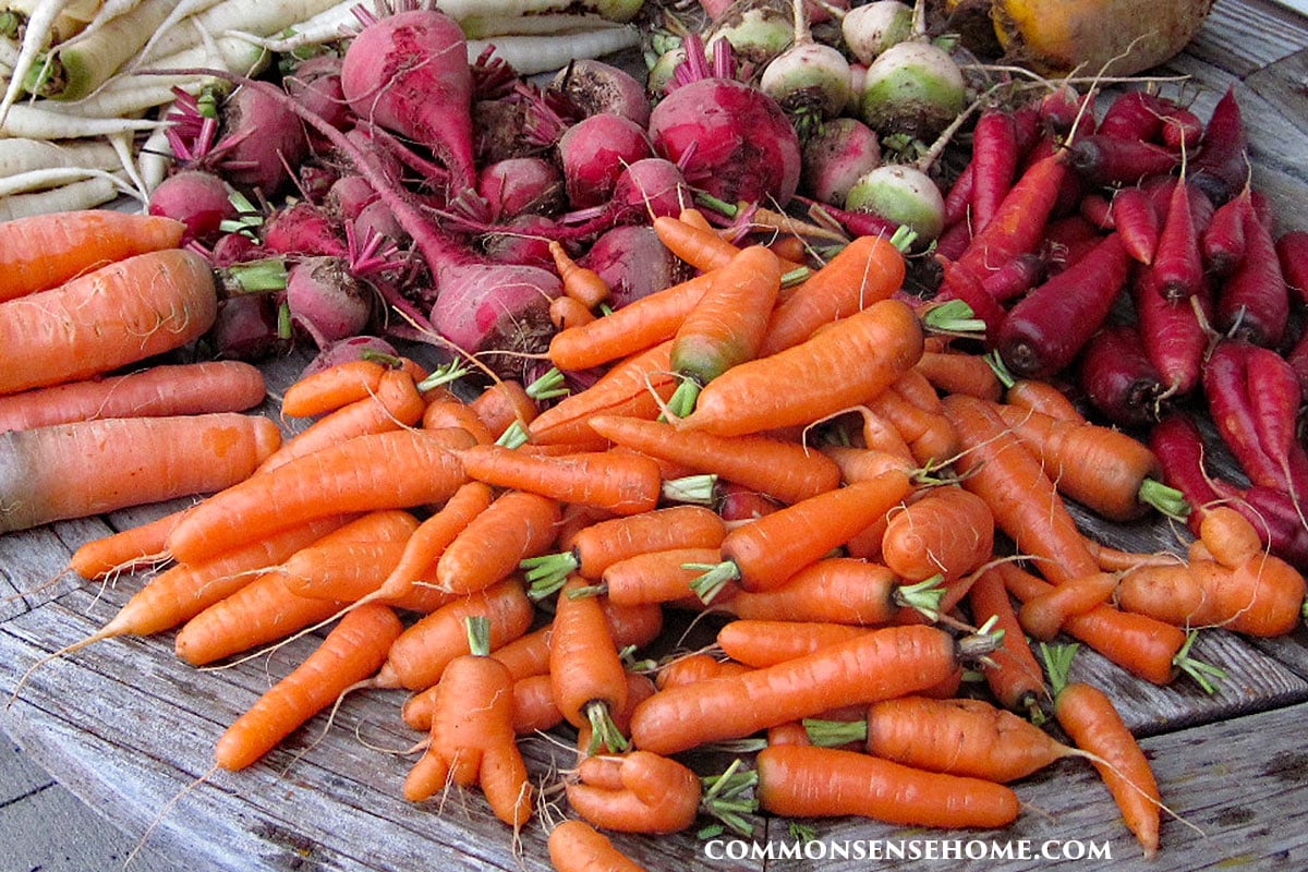 DIY Root Cellars 101 How To Build and Use a Root Cellar