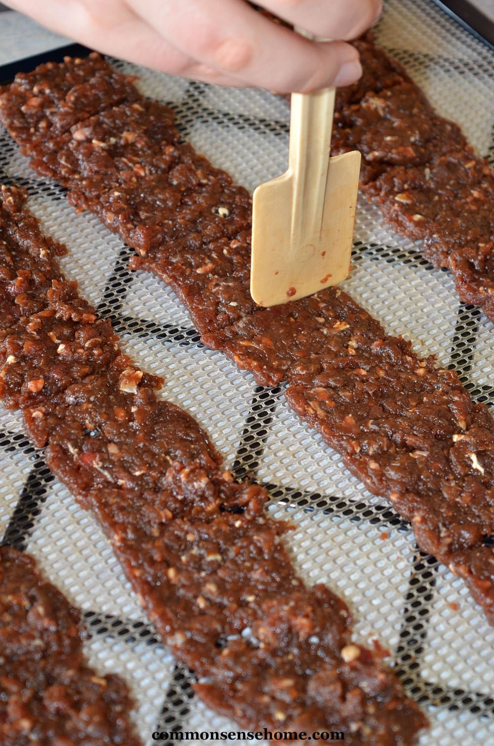 scoring ground venison jerky