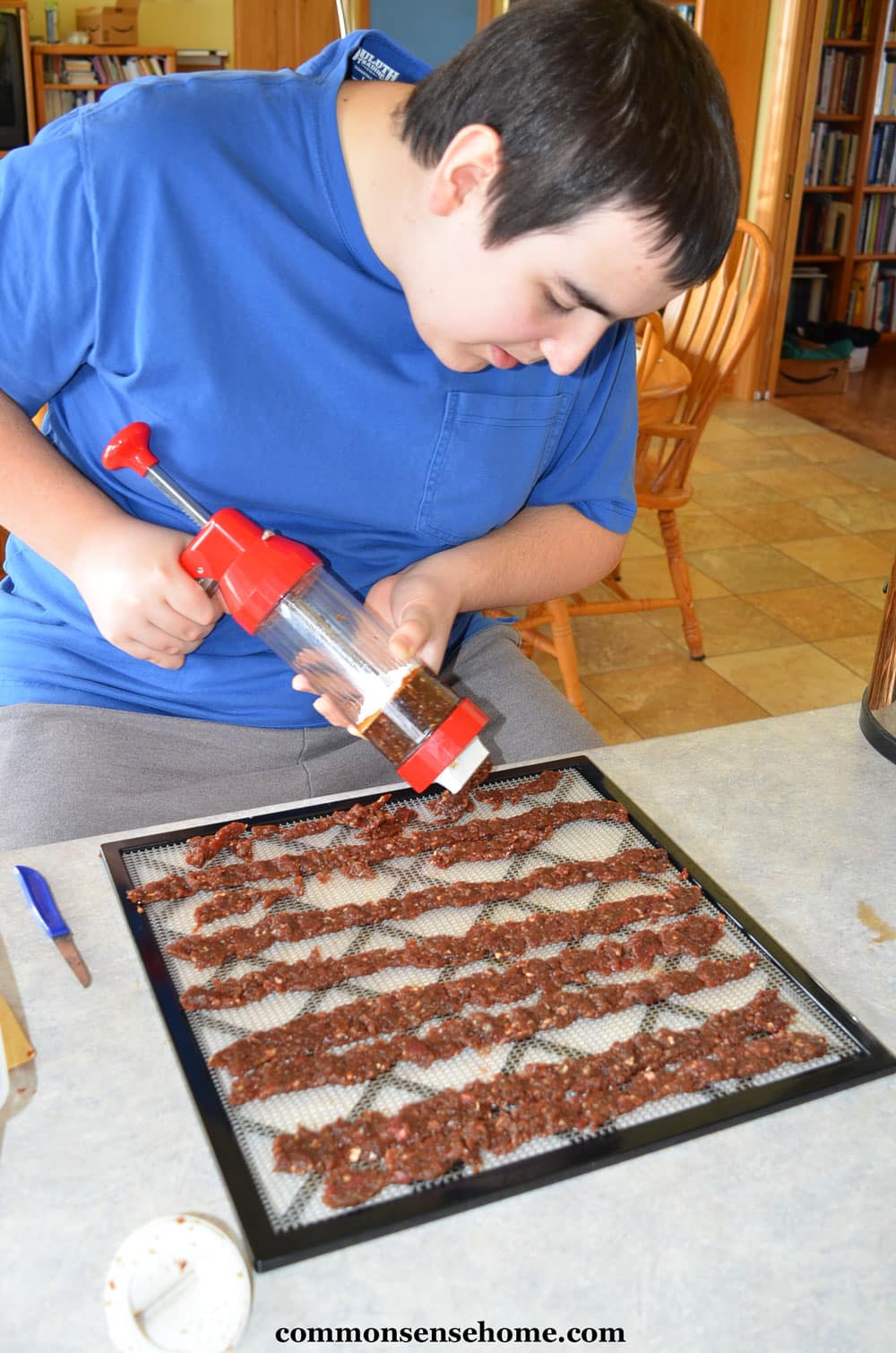 Using the jerky gun with dehydrator trays