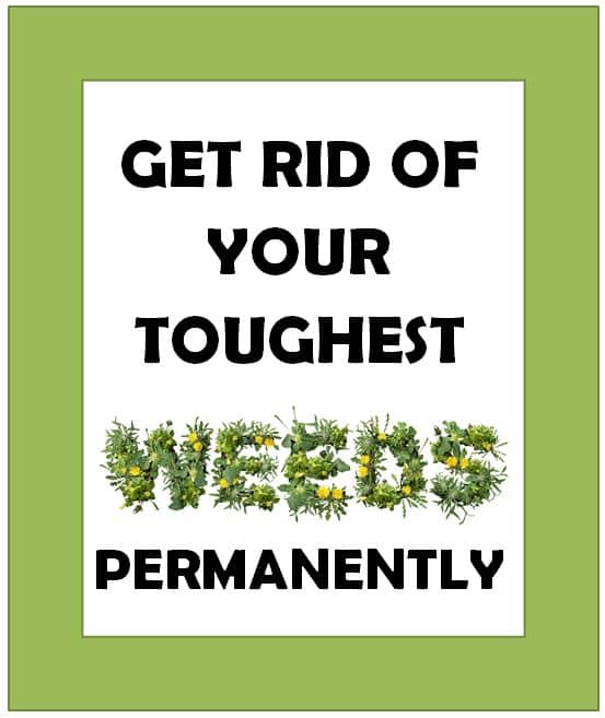 Get Rid of Your Toughest Weeds Permanently