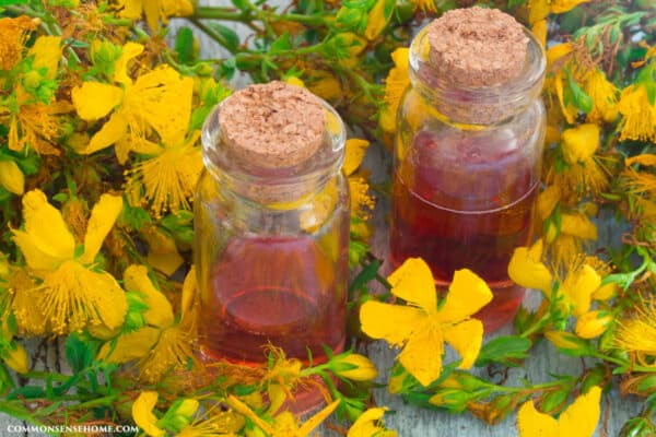 bright red St. John's Wort infused oil