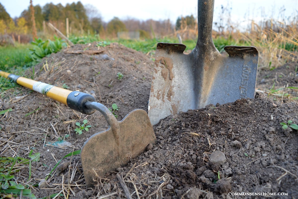 garden hoe and shovel in garden bed