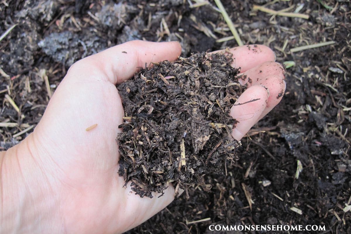 garden soil