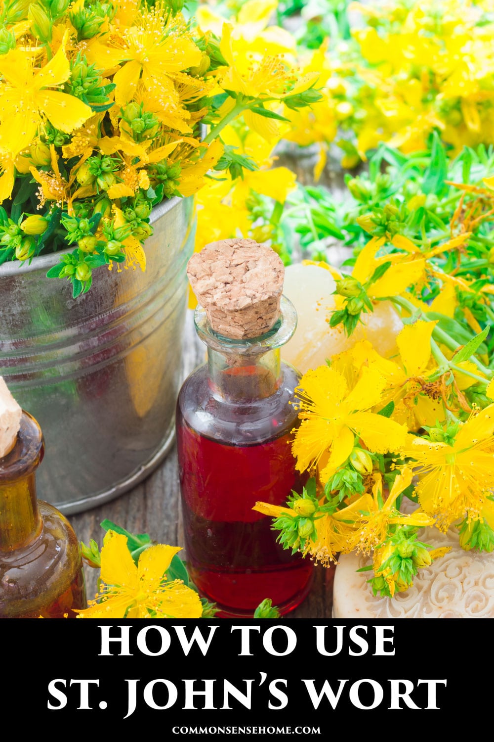 bright red St. John's Wort infused oil with yellow St. John's wort flowers