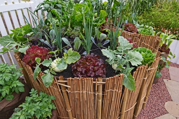 patio garden planter