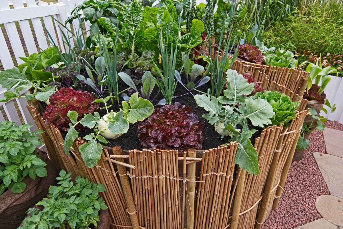 patio garden planter